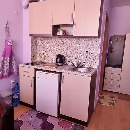 Apartment Sunny Tunkovo