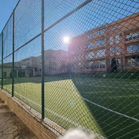 Sunny *